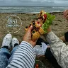 Örnek Resim