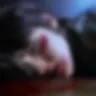 Örnek Resim