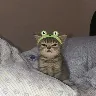 Örnek Resim