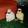 Örnek Resim