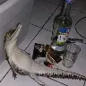Örnek Resim