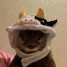 Örnek Resim