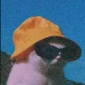 Örnek Resim