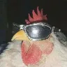 Örnek Resim