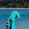 Örnek Resim