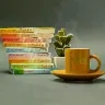 Örnek Resim
