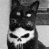 Örnek Resim