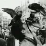 Örnek Resim