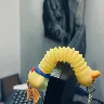 Örnek Resim
