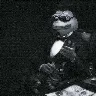 Örnek Resim