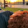 Örnek Resim
