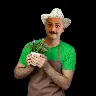 Örnek Resim