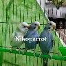 Örnek Resim