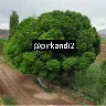 Örnek Resim