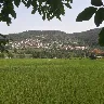 Örnek Resim