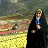 Örnek Resim