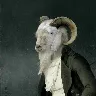 Örnek Resim
