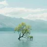Örnek Resim