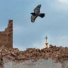 Örnek Resim