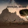 Örnek Resim