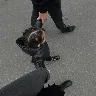 Örnek Resim
