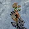 Örnek Resim