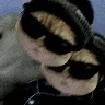 Örnek Resim