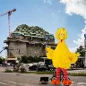 Örnek Resim