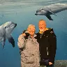 Örnek Resim