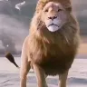 Örnek Resim