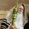 Örnek Resim