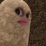 Örnek Resim