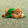 Örnek Resim