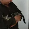 Örnek Resim