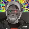 Örnek Resim