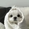 Örnek Resim