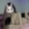 Örnek Resim