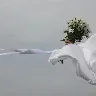 Örnek Resim