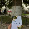 Örnek Resim