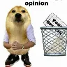 Örnek Resim