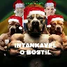 Örnek Resim