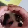 Örnek Resim