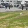 Örnek Resim