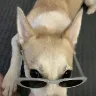 Örnek Resim