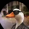 Örnek Resim