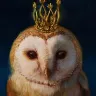 Örnek Resim