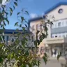 Örnek Resim