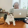 Örnek Resim