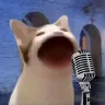Örnek Resim