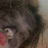 Örnek Resim
